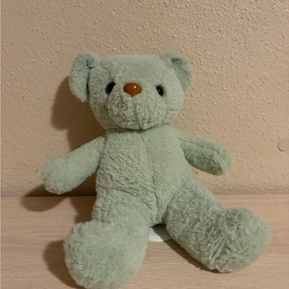Mint Green Plush Bear